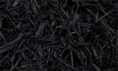 black dyed mulch